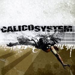 Calico System : The Duplicated Memory